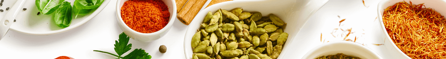 Capa da página de busca