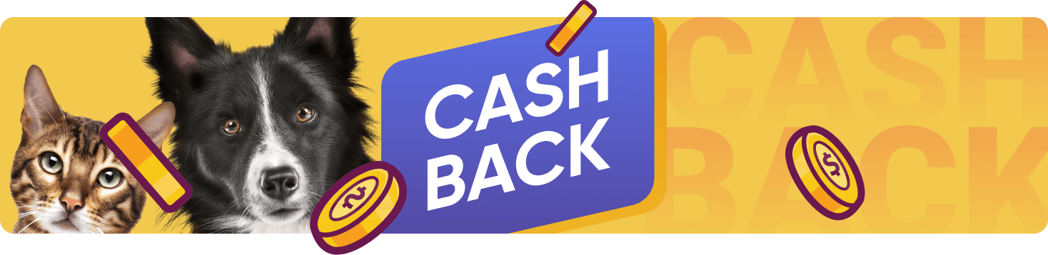 Quanto mais você compra, mais cashback você ganha.